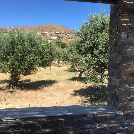 شقة κτήμα ειρήνη