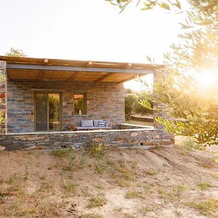 Lygia Apartman Odziász